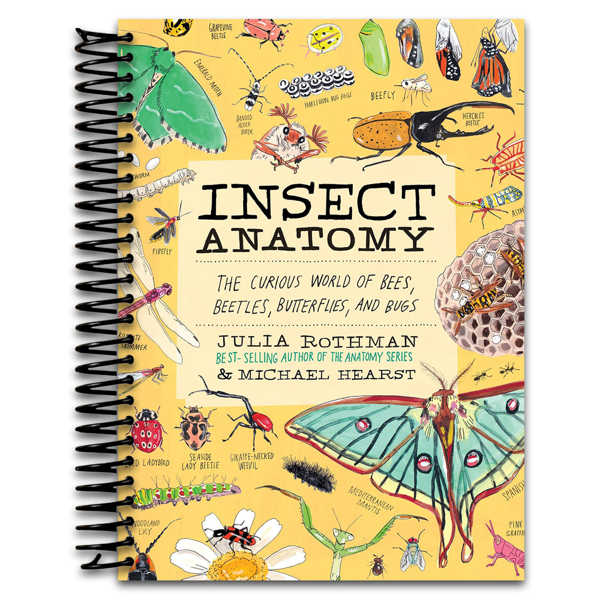 Insect Anatomy: The Curious World of Bees, Beetles, Butterflies, and Bugs (Spiral bound) Happy Coil spiral bound book