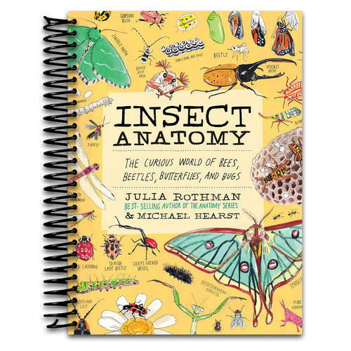 Insect Anatomy: The Curious World of Bees, Beetles, Butterflies, and Bugs (Spiral bound) Happy Coil spiral bound book