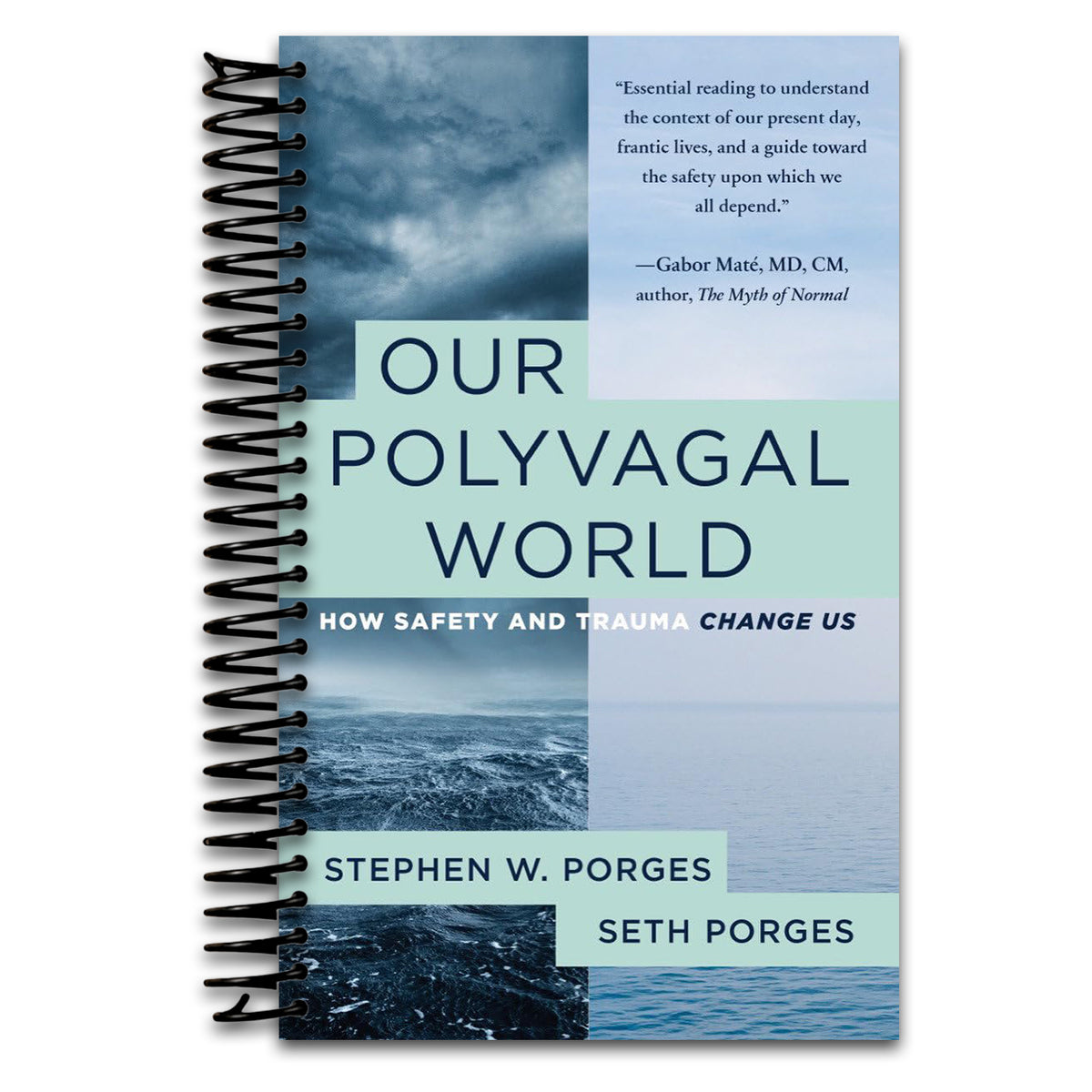 Our Polyvagal World: How Safety and Trauma Change Us (Spiral bound) Happy Coil spiral bound book