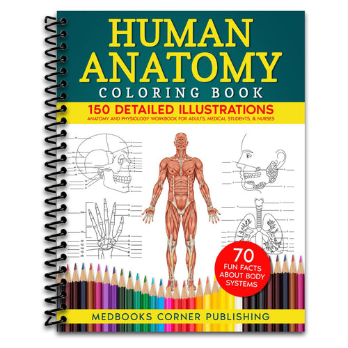 Human Anatomy Coloring Book: 150 Detailed Illustrations & 70 Fascinating Facts in an Anatomy and Physiology Workbook for Adults, Medical Students, & Nurses Focused on Advanced Body Systems Learning (Spiral bound) Happy Coil spiral bound book