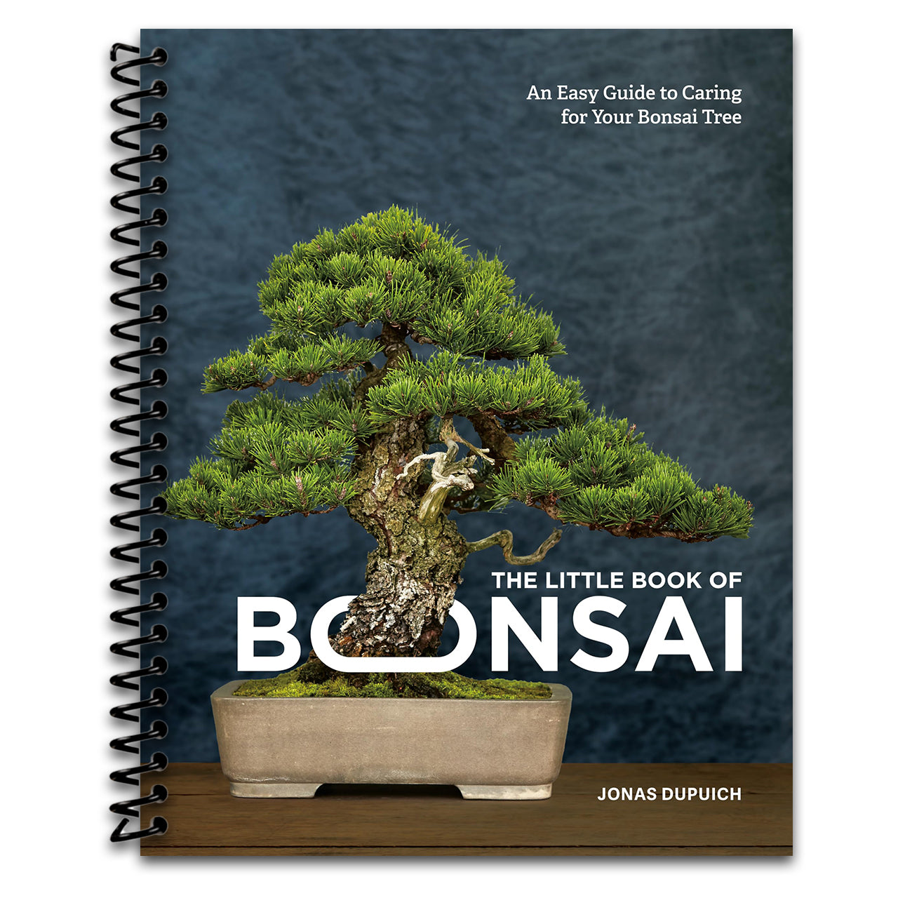 The Little Book of Bonsai: An Easy Guide to Caring for Your Bonsai Tree