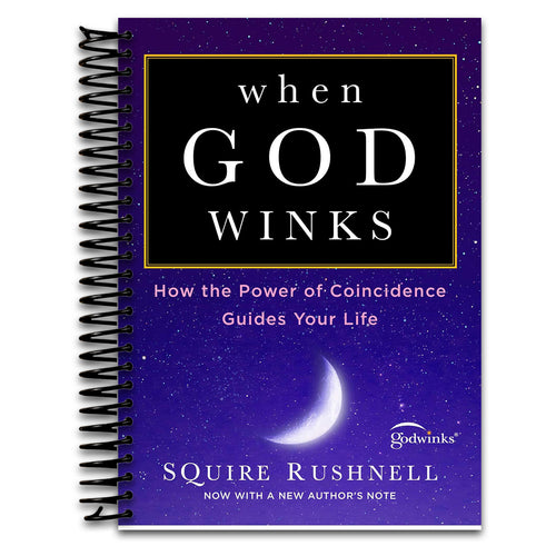 When God Winks: How the Power of Coincidence Guides Your Life (The Godwink Series)   (Spiral bound)
