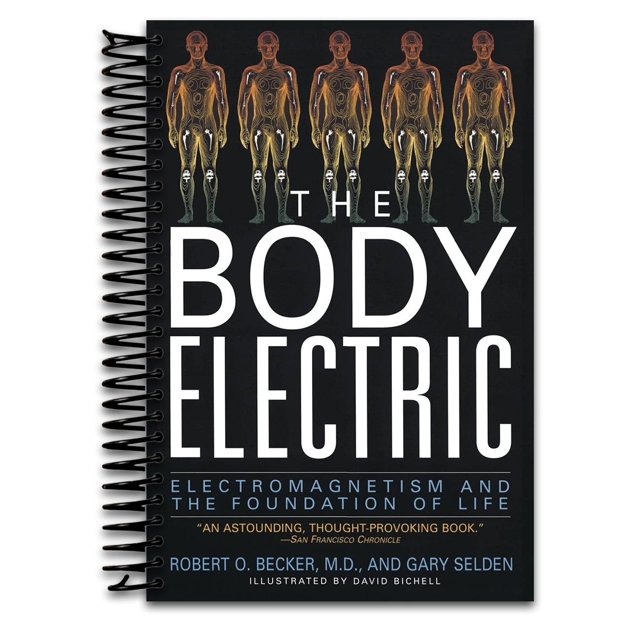 The Body Electric: Electromagnetism And The Foundation Of Life