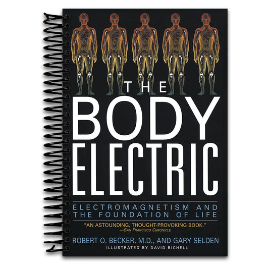 The Body Electric: Electromagnetism And The Foundation Of Life