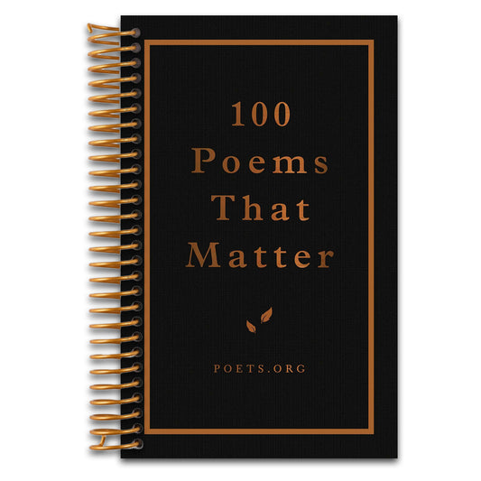 100 Poems That Matter   (Spiral bound)