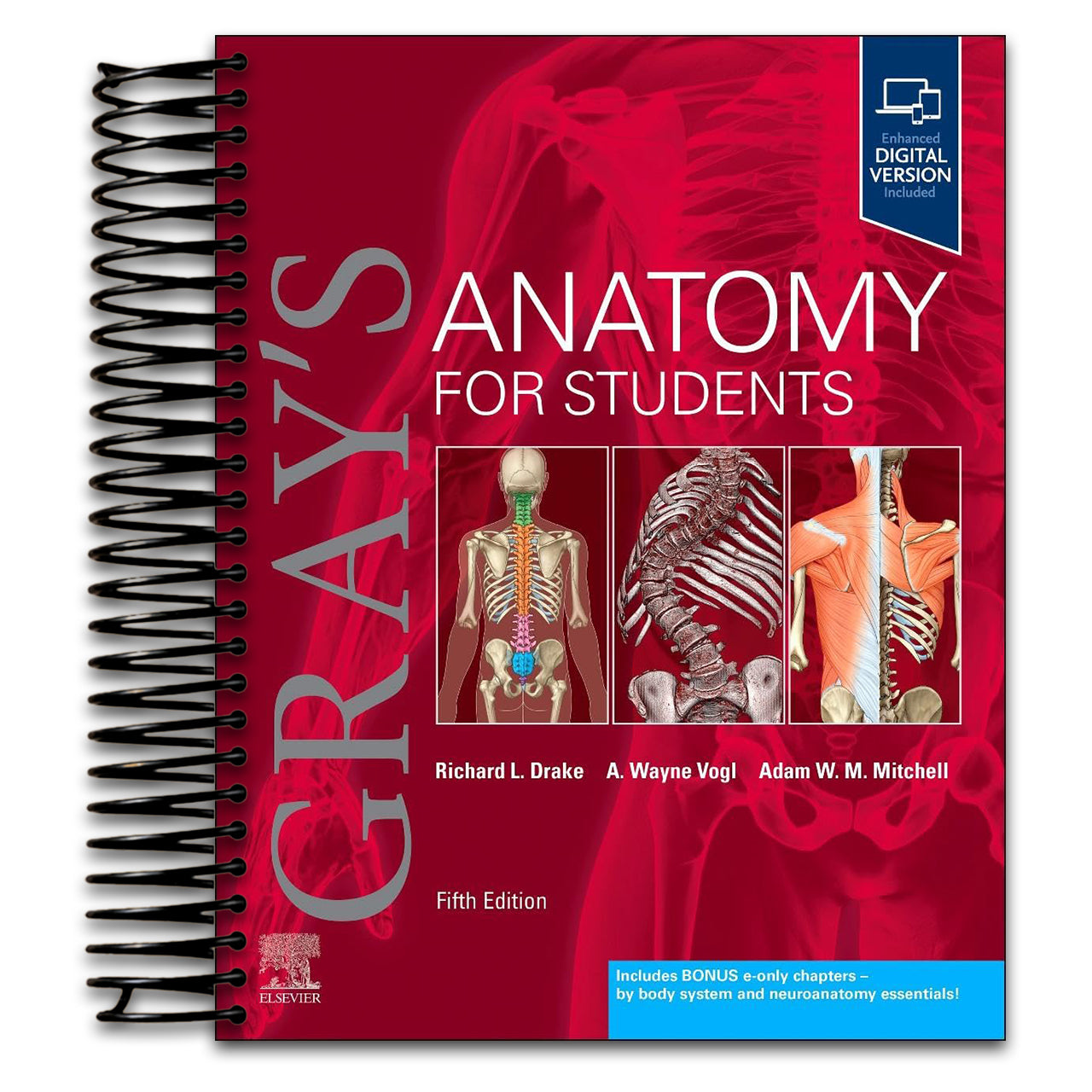 Gray's Anatomy for Students   (Spiral bound)