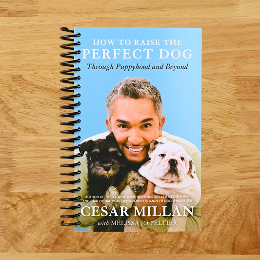 How to Raise the Perfect Dog: Through Puppyhood and Beyond  (Spiral bound)