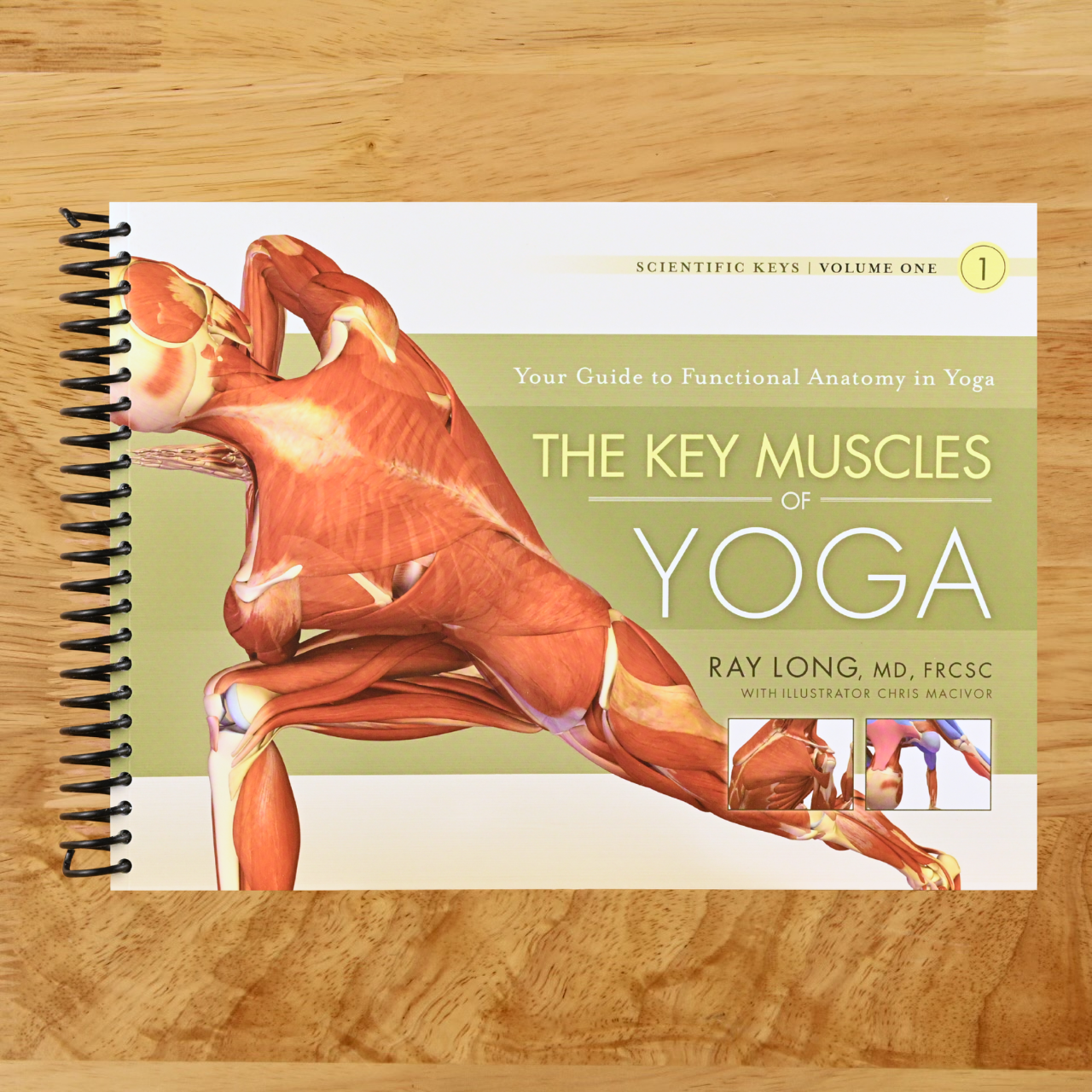 The Key Muscles of Yoga: Scientific Keys, Volume I