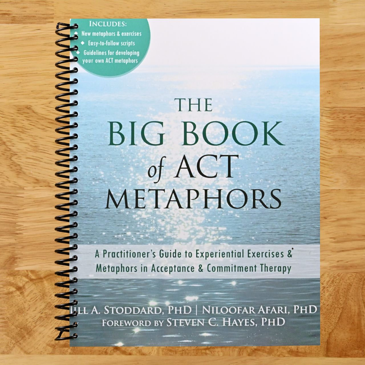The Big Book of ACT Metaphors: A Practitioner’s Guide to Experiential Exercises and Metaphors in Acceptance and Commitment Therapy (Spiral bound) Happy Coil spiral bound book