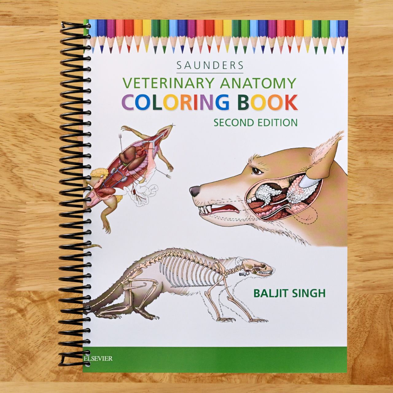 Veterinary Anatomy Coloring Book (Spiral bound) Happy Coil spiral bound book