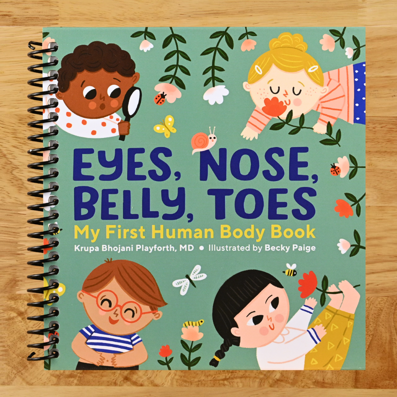 Eyes, Nose, Belly, Toes: My First Human Body Book (Spiral bound) Happy Coil spiral bound book