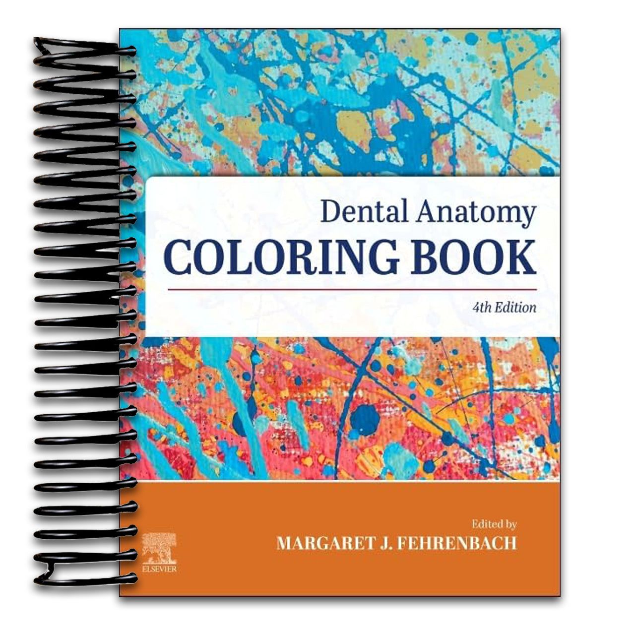 Dental Anatomy Coloring Book (Spiral bound) Happy Coil spiral bound book