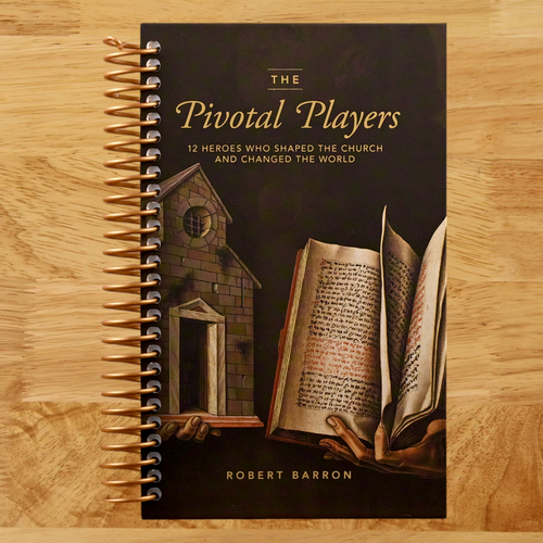 The Pivotal Players: 12 Heroes Who Shaped the Church and Changed the World (Spiral bound) Happy Coil spiral bound book