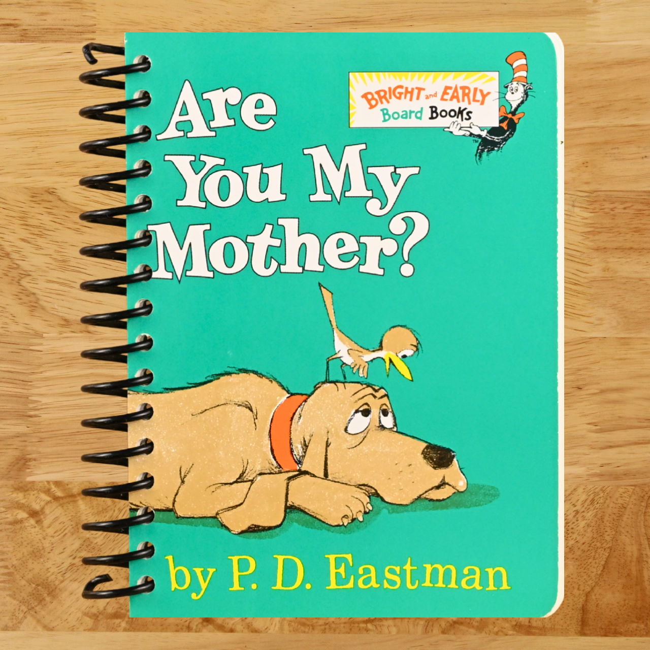 Are You My Mother?  (Spiral bound)
