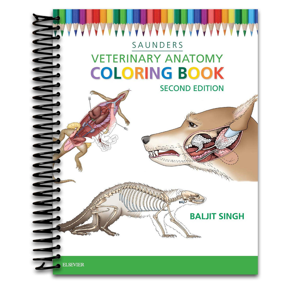 Veterinary Anatomy Coloring Book   (Spiral bound)