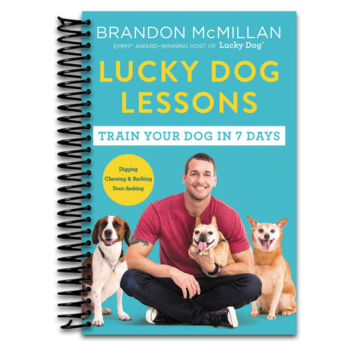 Lucky Dog Lessons: From Renowned Expert Dog Trainer and Host of Lucky Dog: Reunions   (Spiral bound)