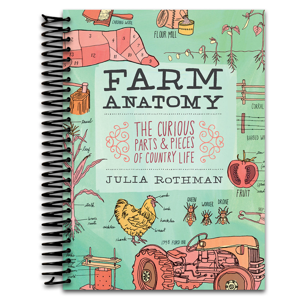 Farm Anatomy: The Curious Parts and Pieces of Country Life   (Spiral bound)