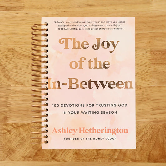 The Joy of the In-Between: 100 Devotions for Trusting God in Your Waiting Season: A Devotional