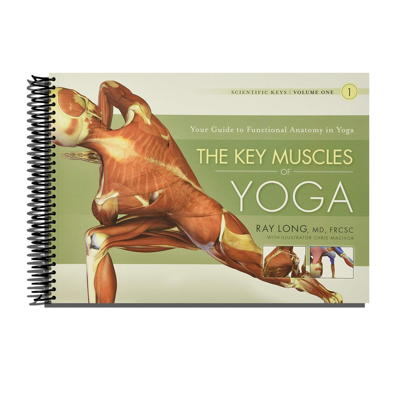 The Key Muscles of Yoga: Scientific Keys, Volume I