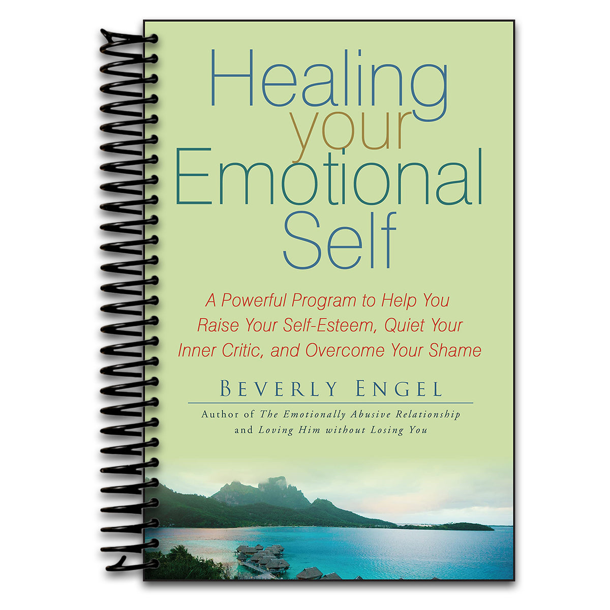 Healing Your Emotional Self: A Powerful Program to Help You Raise Your Self-Esteem, Quiet Your Inner Critic, and Overcome Your Shame   (Spiral bound)