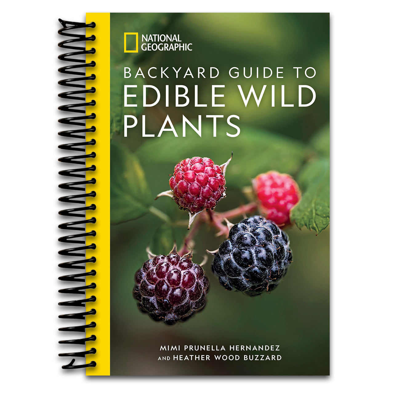 National Geographic Backyard Guide to Edible Wild Plants (Spiral bound) Happy Coil spiral bound book
