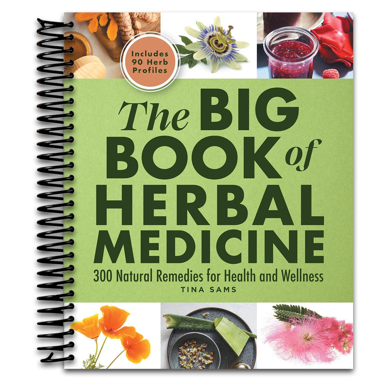 The Big Book of Herbal Medicine: 300 Natural Remedies for Health and Wellness   (Spiral bound)