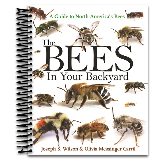 The Bees in Your Backyard: A Guide to North America's Bees   (Spiral bound)