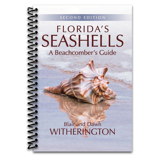 Florida's Seashells: A Beachcomber's Guide (Spiral bound) Happy Coil spiral bound book