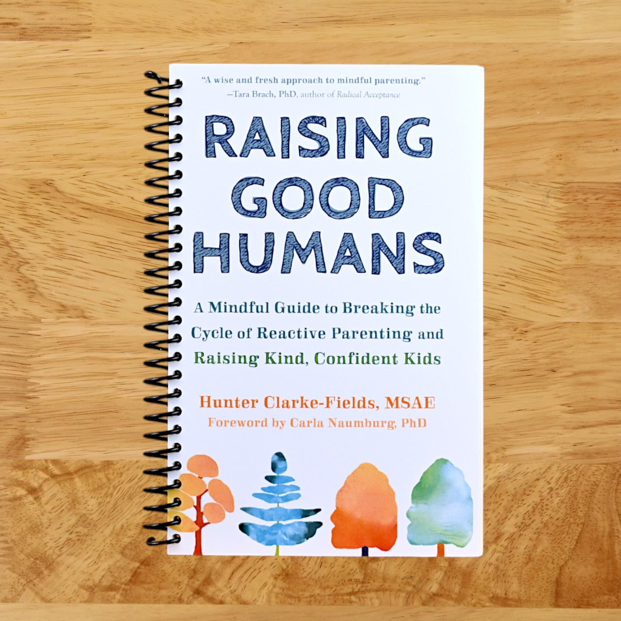 Raising Good Humans: A Mindful Guide to Breaking the Cycle of Reactive Parenting and Raising Kind, Confident Kids