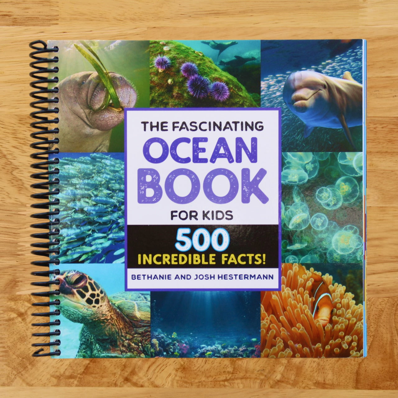 The Fascinating Ocean Book for Kids: 500 Incredible Facts! (Fascinating Facts)