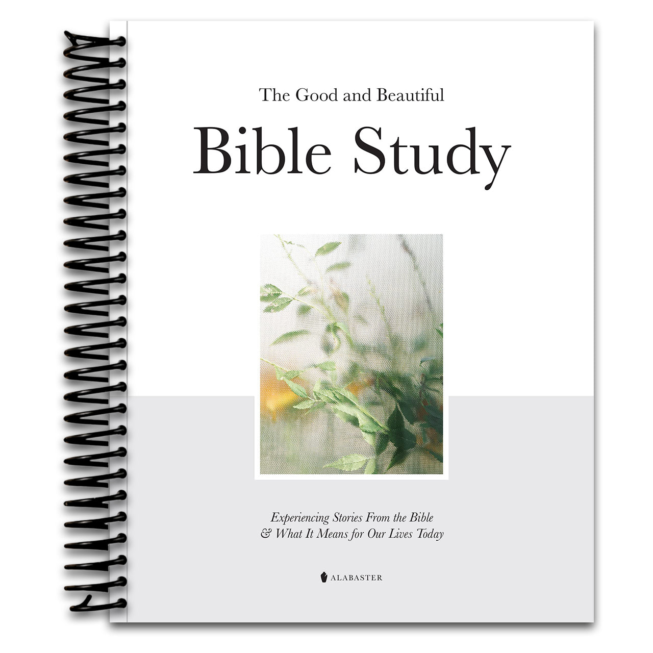 The Good and Beautiful Bible Study: Experiencing Stories From the Bible and What It Means for Our Lives Today   (Spiral bound)
