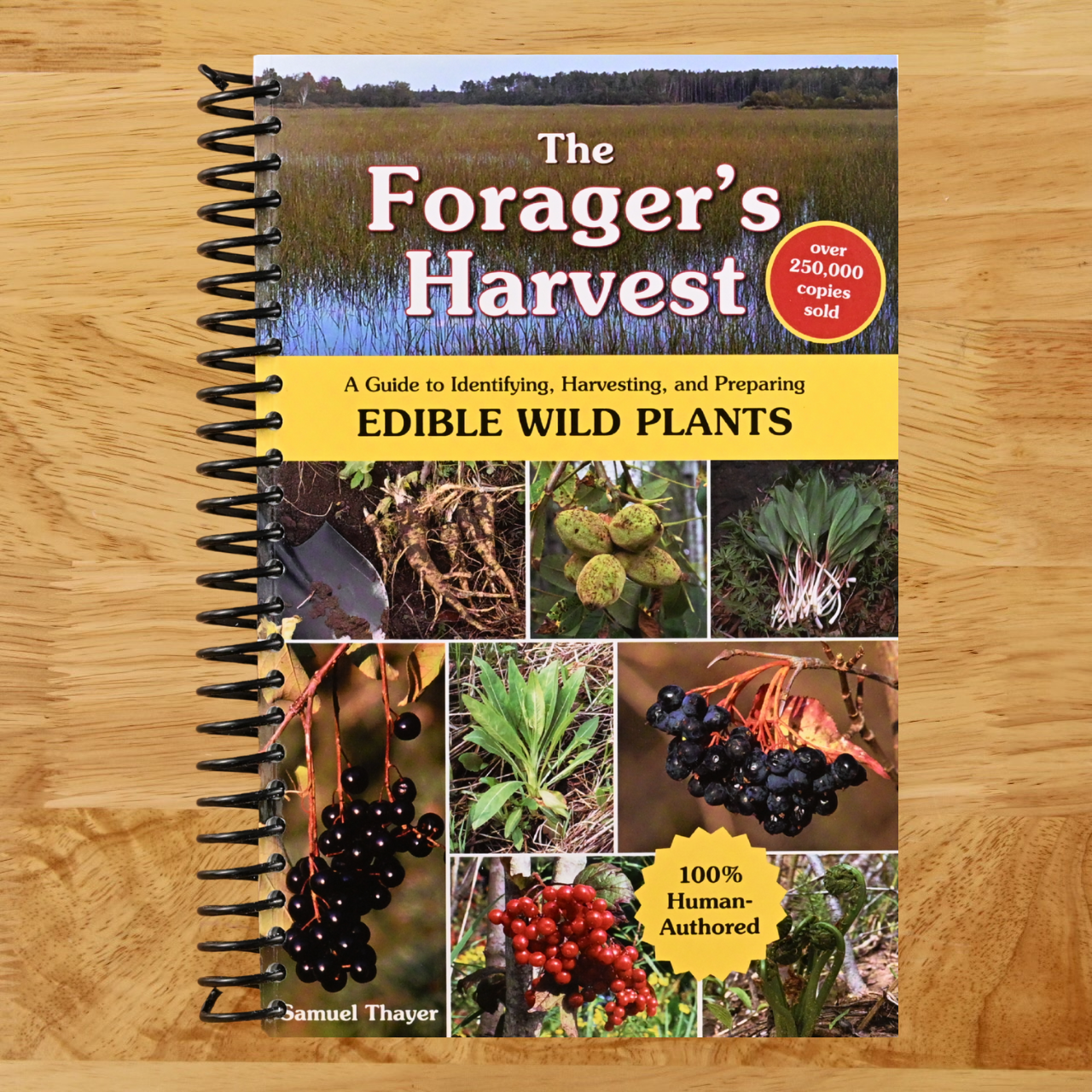The Forager's Harvest: A Guide to Identifying, Harvesting, and Preparing Edible Wild Plants