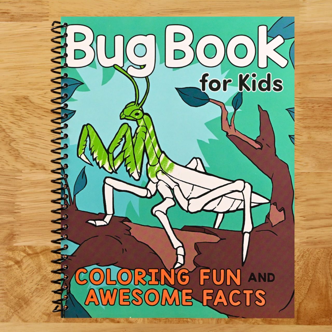 Bug Book for Kids: Coloring Fun and Awesome Facts (A Did You Know? Coloring Book) (Spiral bound) Happy Coil spiral bound book