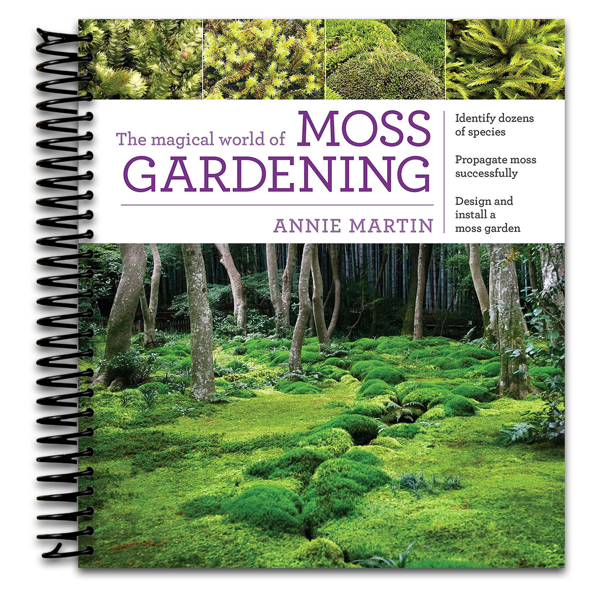 The Magical World of Moss Gardening   (Spiral bound)