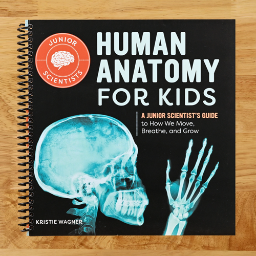 Human Anatomy for Kids: A Junior Scientist's Guide to How We Move, Breathe, and Grow  (Spiral bound)