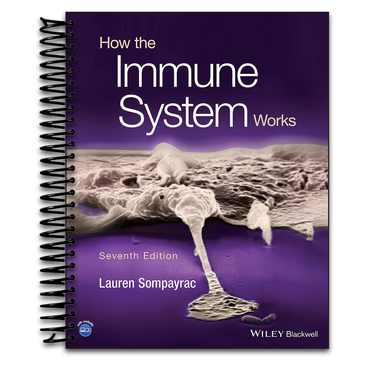 How the Immune System Works   (Spiral bound)