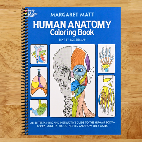 Human Anatomy Coloring Book: an Entertaining and Instructive Guide to the Human Body - Bones, Muscles, Blood, Nerves and How They Work (Coloring Books) (Spiral bound) Happy Coil spiral bound book