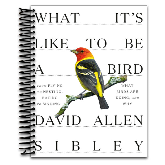 What It's Like to Be a Bird: From Flying to Nesting, Eating to Singing--What Birds Are Doing, and Why (Sibley Guides)