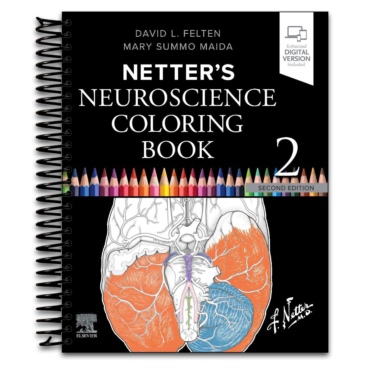 Netter's Neuroscience Coloring Book (Netter Basic Science) (Spiral bound) Happy Coil spiral bound book