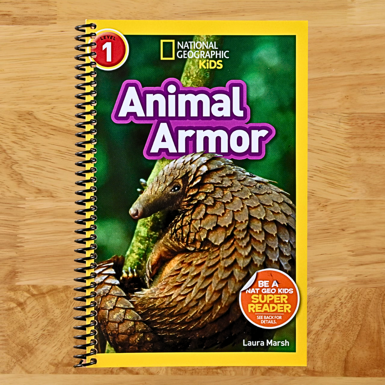 Animal Armor (National Geographic Kids Readers, Level 1)   (Spiral bound)