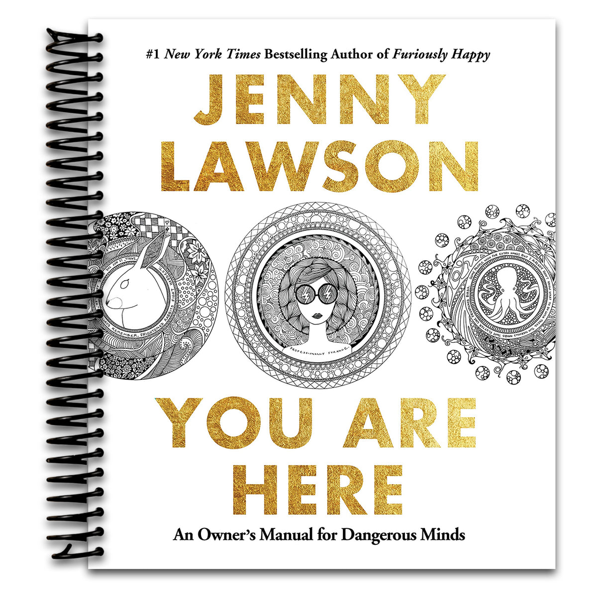 You Are Here: An Owner's Manual for Dangerous Minds   (Spiral bound)
