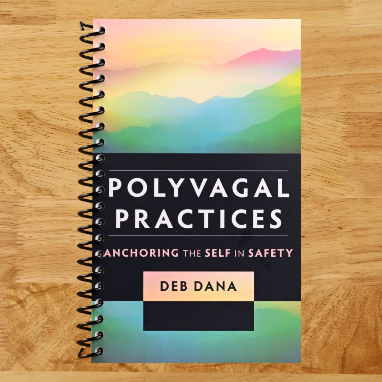 Polyvagal Practices: Anchoring the Self in Safety (Norton Series on Interpersonal Neurobiology) (Spiral bound) Happy Coil spiral bound book