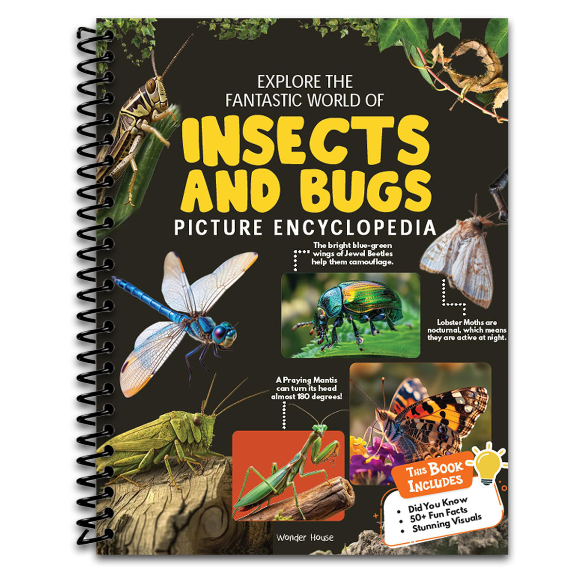 Explore Fantastic World of Insects And Bugs Picture Encyclopedia (Spiral bound) Happy Coil spiral bound book