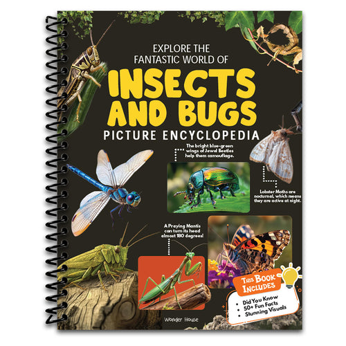 Explore Fantastic World of Insects And Bugs Picture Encyclopedia (Spiral bound) Happy Coil spiral bound book