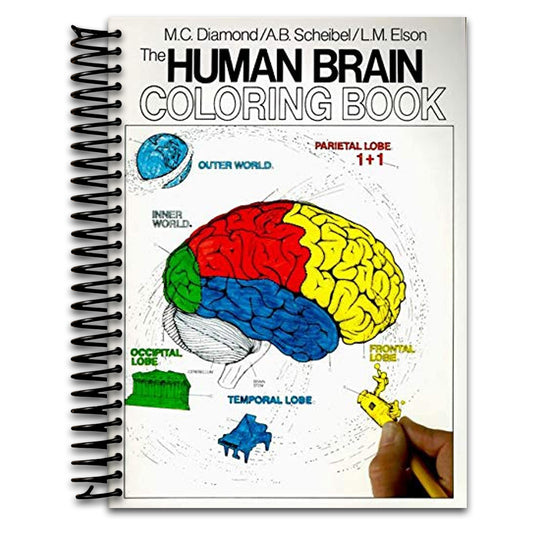The Human Brain Coloring Book: A Coloring Book – An Interactive Guide to Neuroanatomy for Medical Students and Professionals (Coloring Concepts)   (Spiral bound)