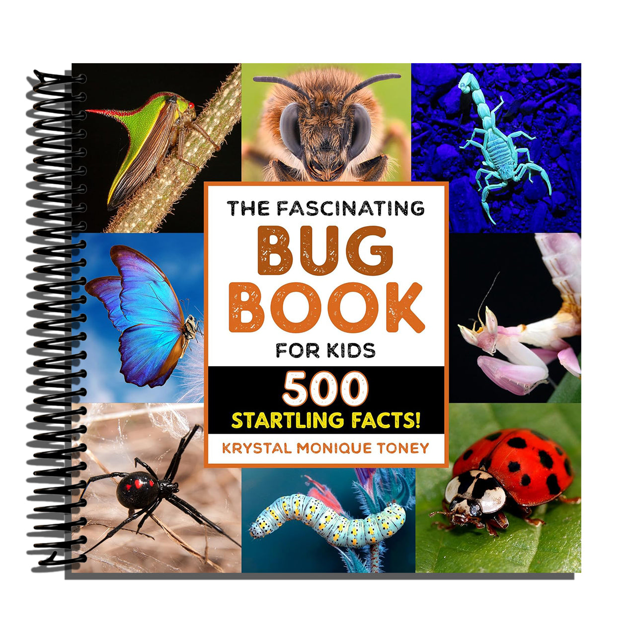 The Fascinating Bug Book for Kids: 500 Startling Facts! (Fascinating Facts)