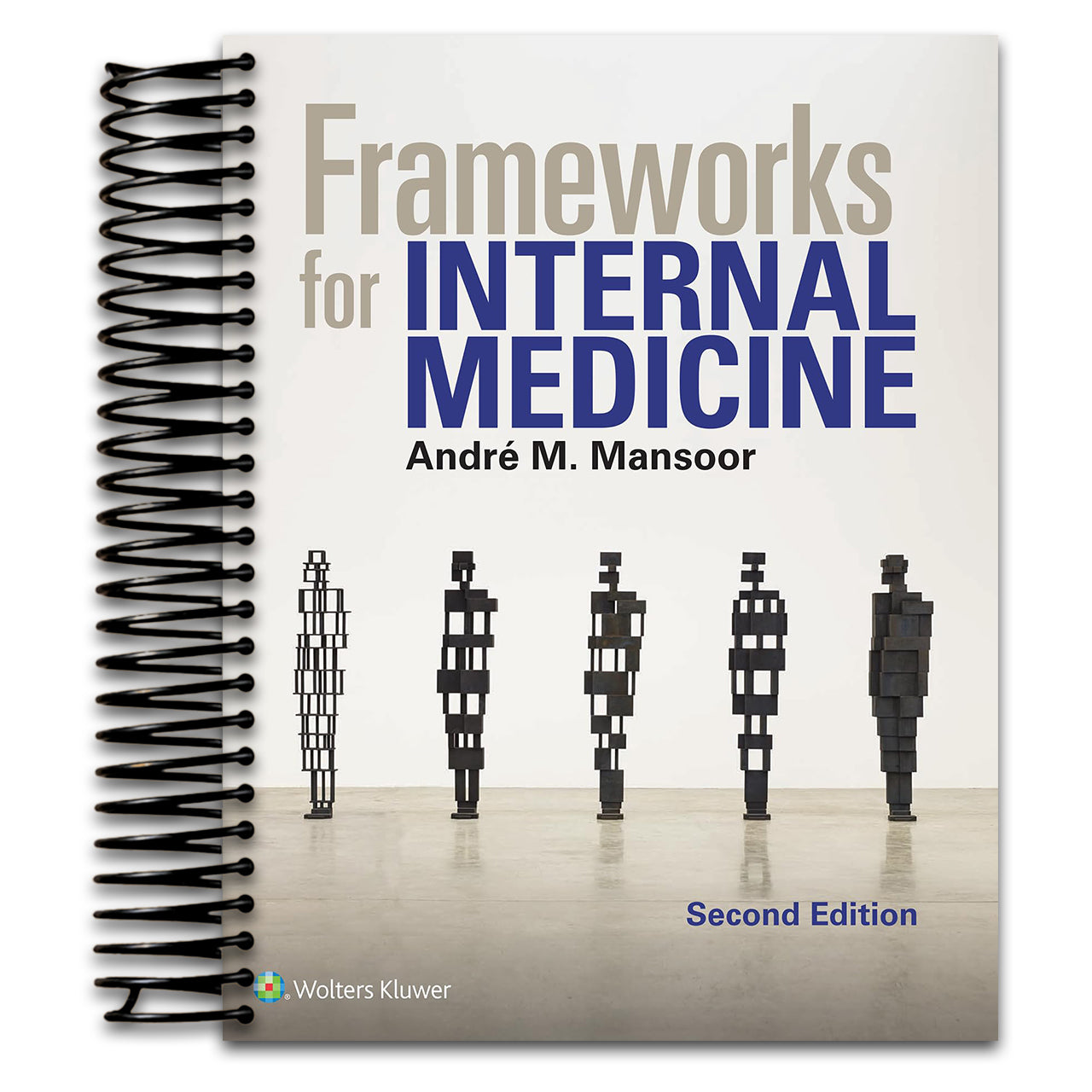 Frameworks for Internal Medicine