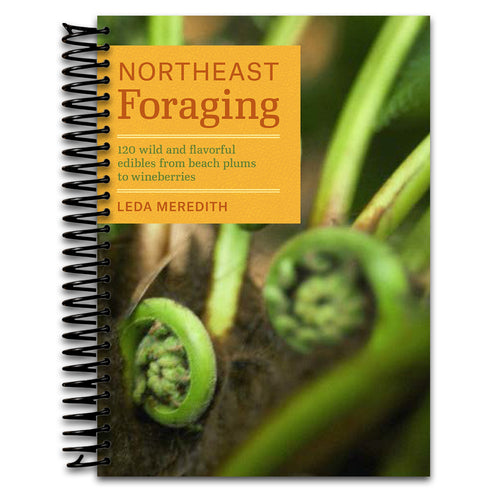 Northeast Foraging: 120 Wild and Flavorful Edibles from Beach Plums to Wineberries (Regional Foraging Series) (Spiral bound) Happy Coil spiral bound book
