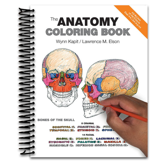 Anatomy Coloring Book