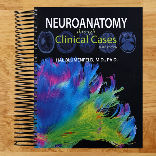 Neuroanatomy through Clinical Cases (Spiral bound) Happy Coil spiral bound book